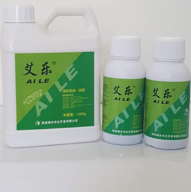 艾樂(lè)