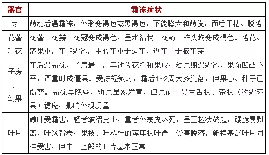 640.webp (1).jpg